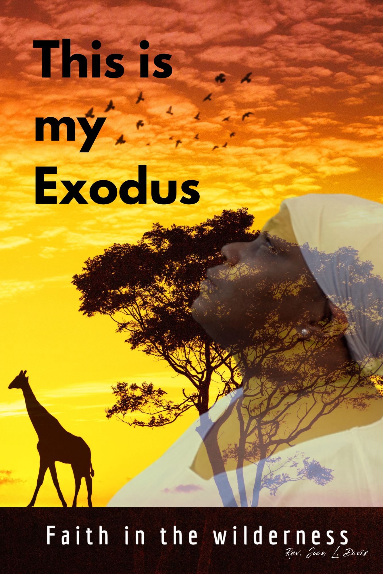 This Is My Exodus — book cover